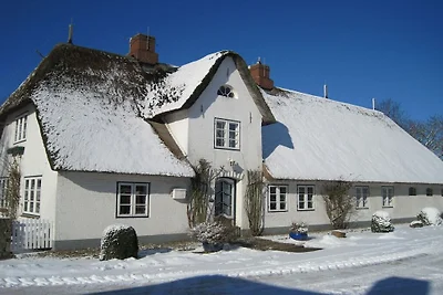 Ferienwohnung mit 1 Schlafzimmer