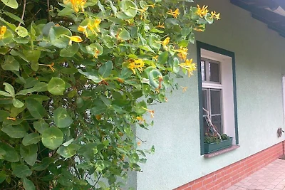 Casa vacanze a Daschow con piscina