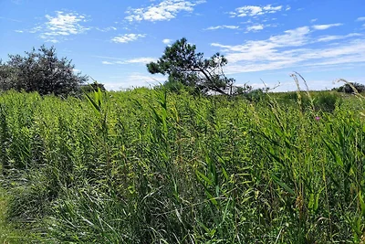 3 Personen Ferienhaus in Karrebæksminde-By...