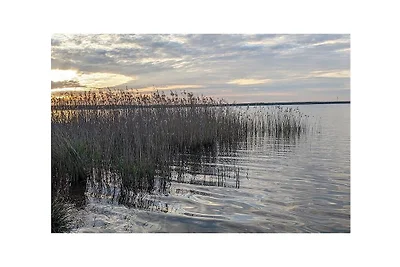 Dom wakacyjny Seevögel Casel
