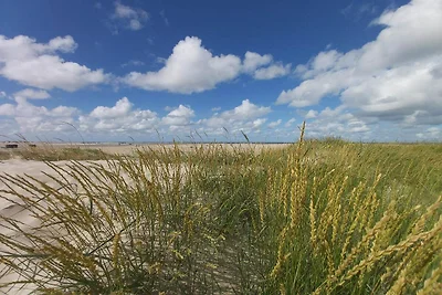 Strandparadies in Lakolk -- By Traum...