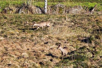 7 Personen Ferienhaus in lyngdal