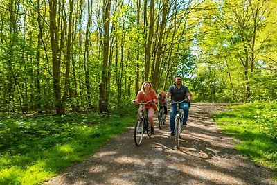 Vakantiehuis in Halfweg met terras