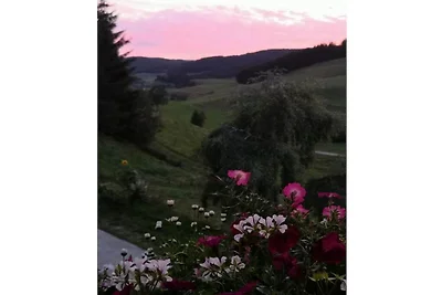 Haldenhäusle  Schwarzwald