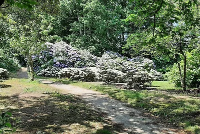 6 Personen Ferienhaus in Sæby-By Traum