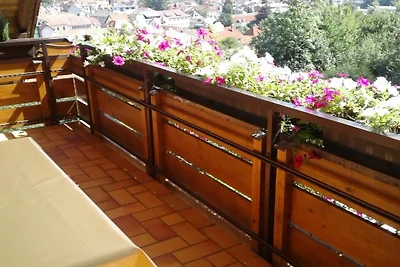 Ferienwohnung in Todtnau mit Wifi