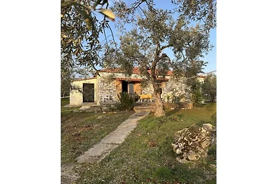 koliba Odmor za igrače golfa 