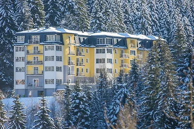 Appartement in Bad Gastein bij Skiliften