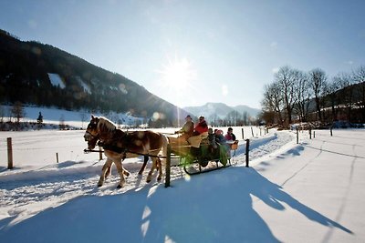 Premium-Chalet mit Sauna