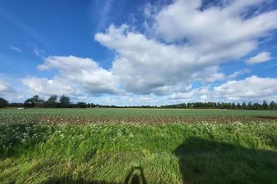 Ferienhaus Erholungsurlaub Veere