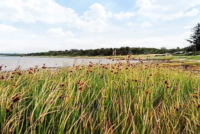 6 Personen Ferienhaus in Farsø-By Traum