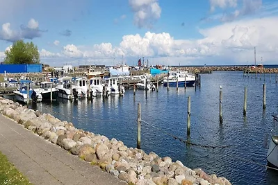 6 Personen Ferienhaus in Rudkøbing-By Traum