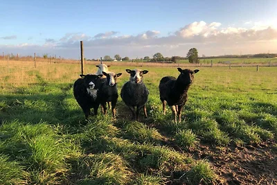4 Personen Ferienhaus in Skibby