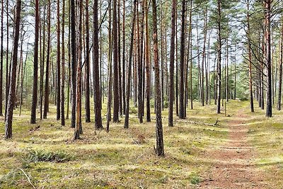 4 Sterne Ferienhaus in YNGSJÖ