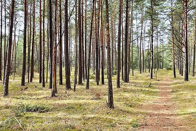 4 Sterne Ferienhaus in YNGSJÖ-By Traum