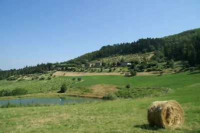Ferienhaus in Dicomano mit Stadtzentrum