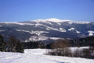 Alpenhut met 1 slaapkamer