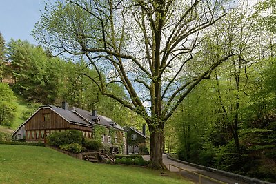 Luxuriöse Mühle mit Hallenbad in den Ardennen