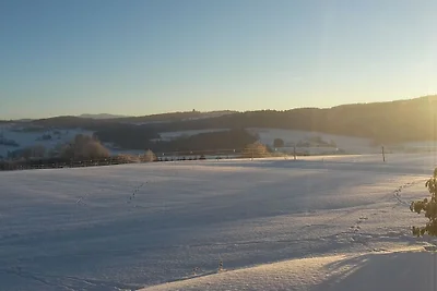 Ferienwohnung in Regen mit Schwimmbecken