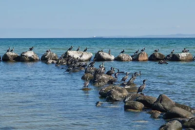 6 persone case ad Gilleleje-By Traum