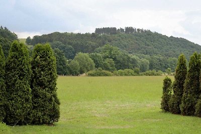 Ferienwohnung im Sauerland mit Terrasse und...