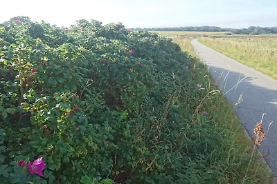 4 Personen Ferienhaus in Nibe-By Traum