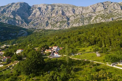 Villa Roza Dalmatian Escape