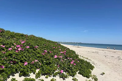 8 persone case ad Sydals