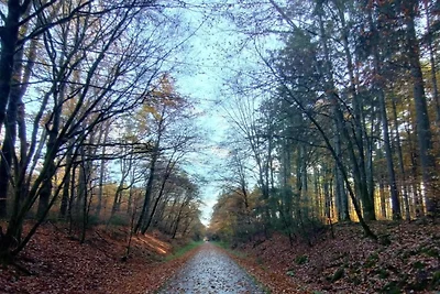 Nella regione (estate) (>5 km) Nella regione (estate) (>5 km)