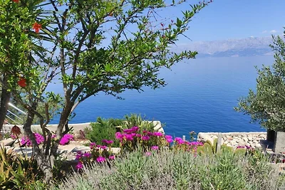 Jakov direkt am Meer