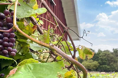 3 Personen Ferienhaus in Berga-By Traum