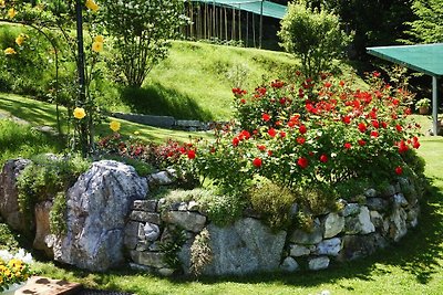 Appartamenti Casa Tamas, Limone