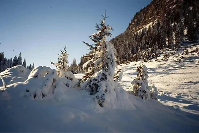 Chalet in Sankt Gallenkirch nahe Skibus