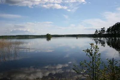 Ahornfarm Håkannäs