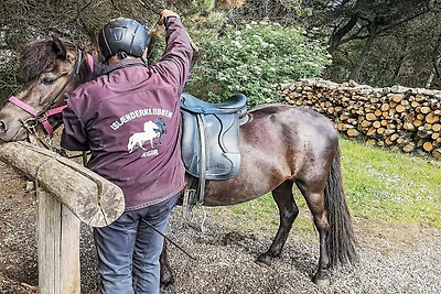 4 persoons vakantieparkhuis in Pandrup