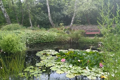 Ferienwohnung in Regen mit Schwimmbecken