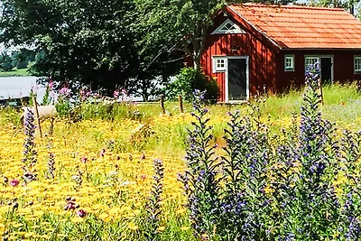 2 osob apartament w Bellö-By Traum