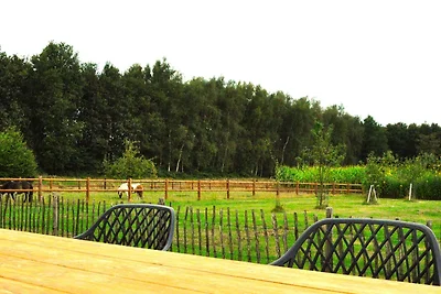 Chalet in Friesland mit umzהuntem Garten
