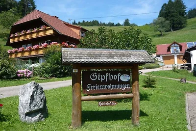 Sonneneck auf dem Gipfhof
