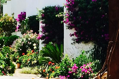 Appartamento a Maiorca con piscina e giardino