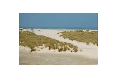 Duinhuis Ameland 1