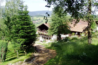 Casa vacanze a Kollnburg con giardino