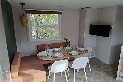 Modernes 4-Personen-Glamping in Antwerpen