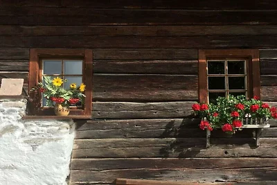 Altes Gneser Haus 1564