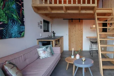 Actieve eigenaar Tiny House 2 V1
