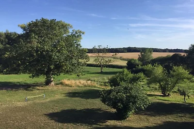 Cabin in Vilmnitz with swimming pool