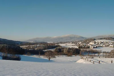 Geräumige Wohnung mit Sauna