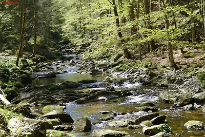 Wohnung in Freyung beim Bayerwald
