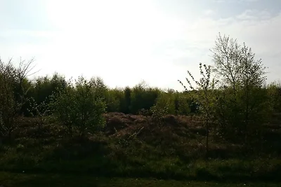 Meeresflucht in Praesto -- By Traum...