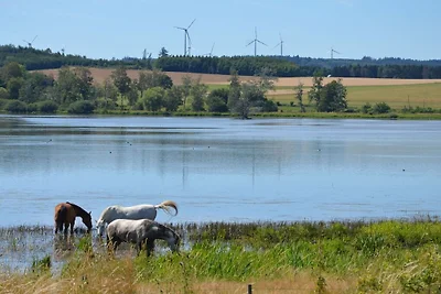 Ferienhaus mit 4 Schlafzimmer